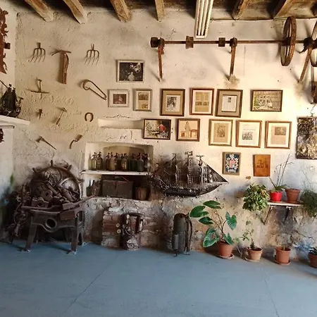 Pitu Ferrer Peralada