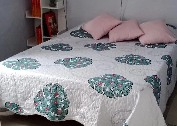 Pitu Ferrer Feriehus *